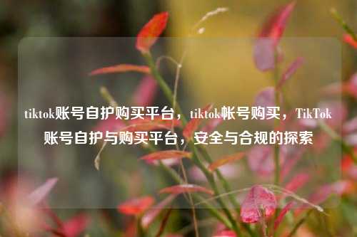 tiktok账号自护购买平台，tiktok帐号购买，TikTok账号自护与购买平台，安全与合规的探索