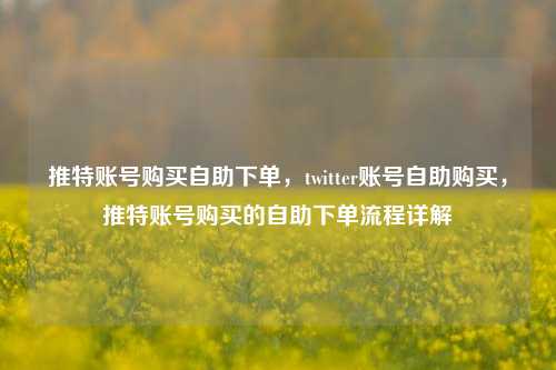 推特账号购买自助下单，twitter账号自助购买，推特账号购买的自助下单流程详解