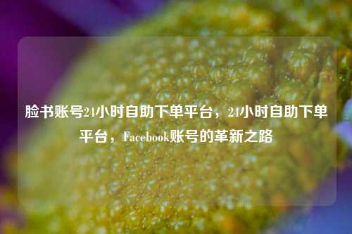 脸书账号24小时自助下单平台，24小时自助下单平台，Facebook账号的革新之路