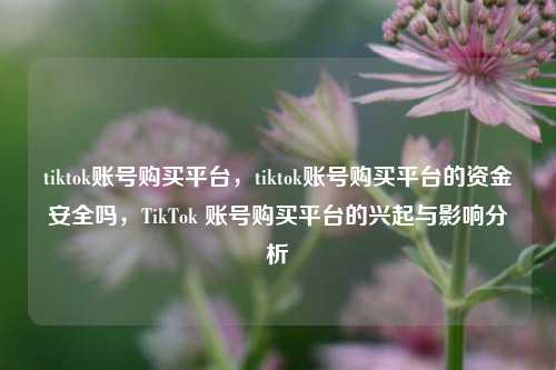 tiktok账号购买平台，tiktok账号购买平台的资金安全吗，TikTok 账号购买平台的兴起与影响分析