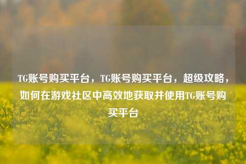 TG账号购买平台，TG账号购买平台，超级攻略，如何在游戏社区中高效地获取并使用TG账号购买平台