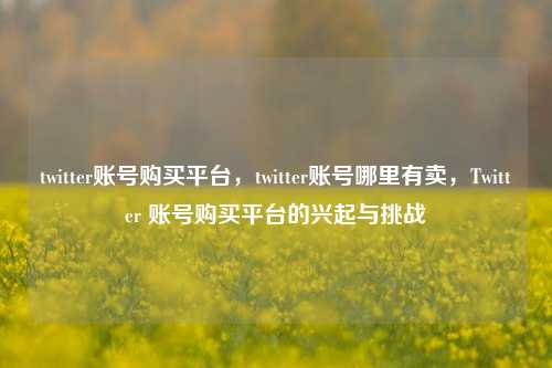 twitter账号购买平台，twitter账号哪里有卖，Twitter 账号购买平台的兴起与挑战