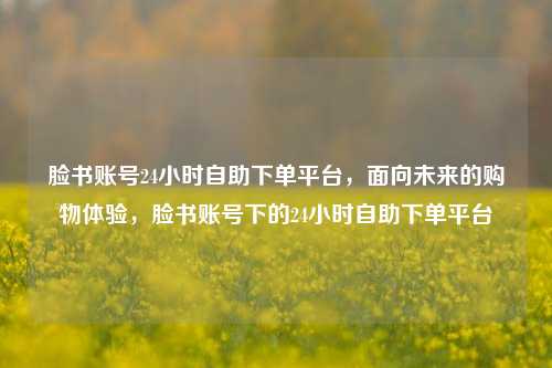 脸书账号24小时自助下单平台，面向未来的购物体验，脸书账号下的24小时自助下单平台