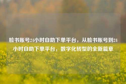 脸书账号24小时自助下单平台，从脸书账号到24小时自助下单平台，数字化转型的全新篇章