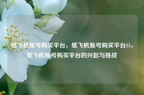 纸飞机账号购买平台，纸飞机账号购买平台15，纸飞机账号购买平台的兴起与挑战