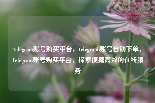 telegram账号购买平台，telegraph账号自助下单，Telegram账号购买平台，探索便捷高效的在线服务
