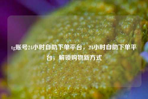 tg账号24小时自助下单平台，24小时自助下单平台，解锁购物新方式