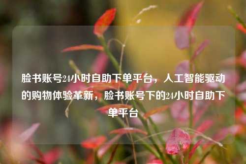 脸书账号24小时自助下单平台，人工智能驱动的购物体验革新，脸书账号下的24小时自助下单平台