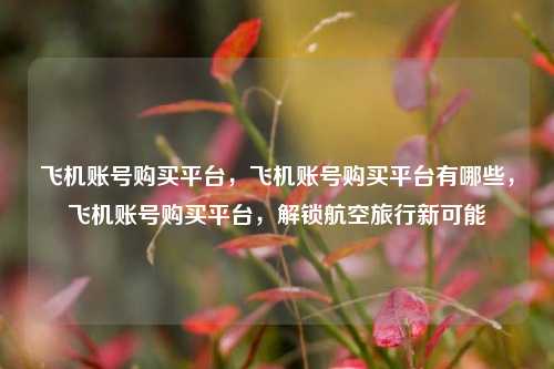 飞机账号购买平台	，飞机账号购买平台有哪些，飞机账号购买平台，解锁航空旅行新可能  第1张
