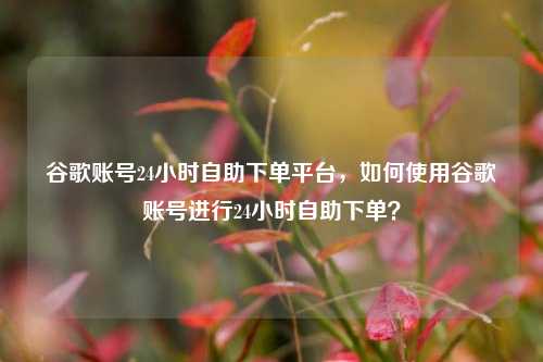谷歌账号24小时自助下单平台	，如何使用谷歌账号进行24小时自助下单？  第1张