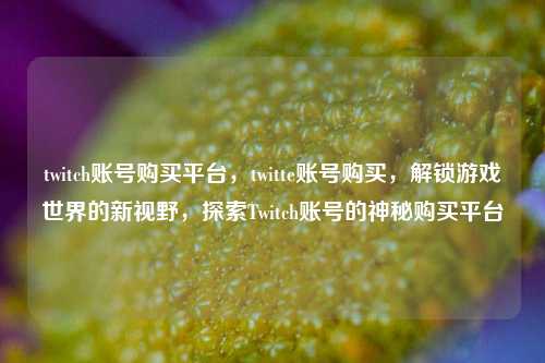 twitch账号购买平台，twitte账号购买，解锁游戏世界的新视野，探索Twitch账号的神秘购买平台