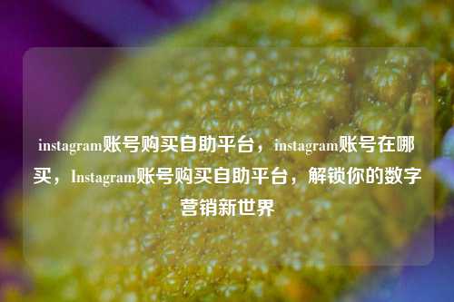 instagram账号购买自助平台，instagram账号在哪买，Instagram账号购买自助平台，解锁你的数字营销新世界