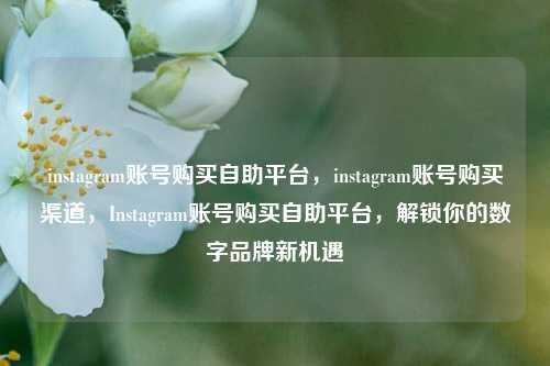 instagram账号购买自助平台，instagram账号购买渠道，Instagram账号购买自助平台，解锁你的数字品牌新机遇
