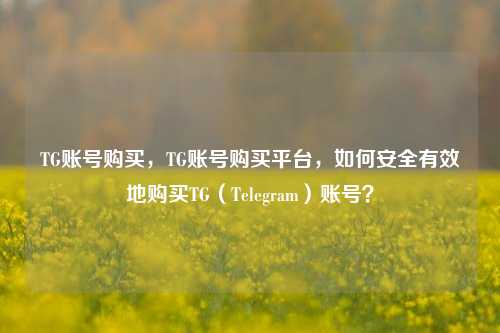 TG账号购买，TG账号购买平台，如何安全有效地购买TG（Telegram）账号？
