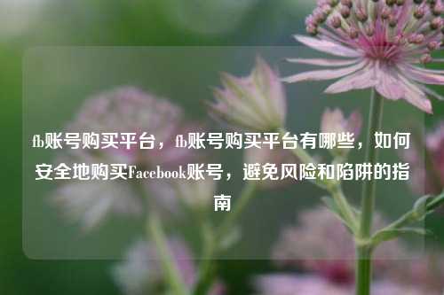 fb账号购买平台，fb账号购买平台有哪些，如何安全地购买Facebook账号，避免风险和陷阱的指南
