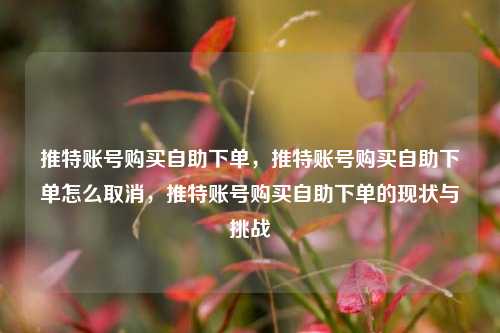 推特账号购买自助下单，推特账号购买自助下单怎么取消，推特账号购买自助下单的现状与挑战