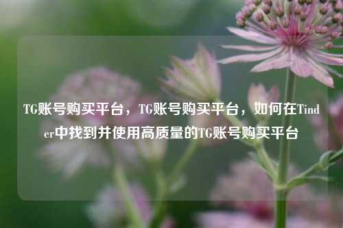 TG账号购买平台，TG账号购买平台，如何在Tinder中找到并使用高质量的TG账号购买平台