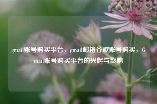 gmail账号购买平台，gmail邮箱谷歌账号购买，Gmail账号购买平台的兴起与影响