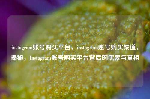 instagram账号购买平台，instagram账号购买渠道，揭秘，Instagram账号购买平台背后的黑幕与真相