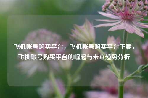 飞机账号购买平台，飞机账号购买平台下载，飞机账号购买平台的崛起与未来趋势分析
