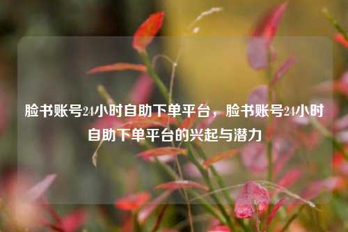 脸书账号24小时自助下单平台，脸书账号24小时自助下单平台的兴起与潜力