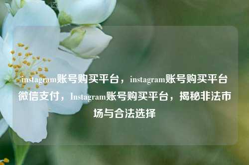 instagram账号购买平台，instagram账号购买平台微信支付，Instagram账号购买平台，揭秘非法市场与合法选择