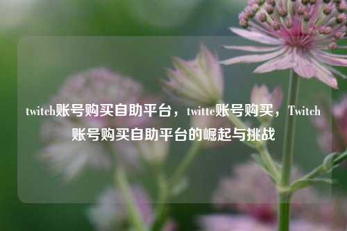 twitch账号购买自助平台，twitte账号购买，Twitch账号购买自助平台的崛起与挑战