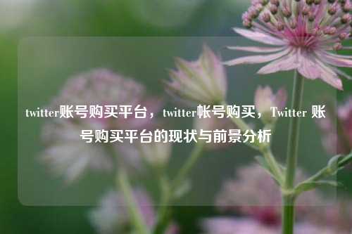 twitter账号购买平台，twitter帐号购买，Twitter 账号购买平台的现状与前景分析