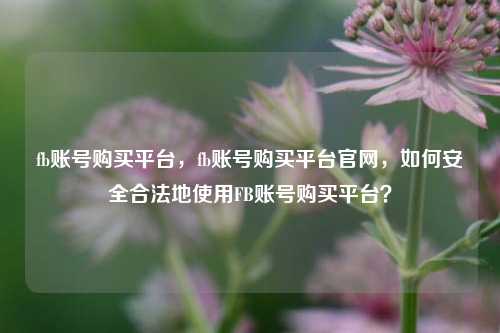 fb账号购买平台，fb账号购买平台官网，如何安全合法地使用FB账号购买平台？