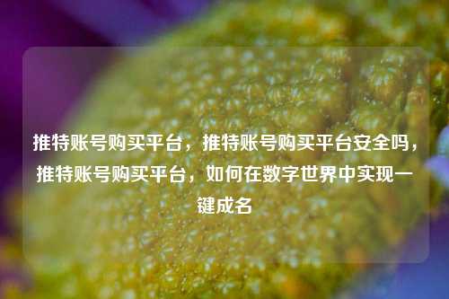 推特账号购买平台，推特账号购买平台安全吗，推特账号购买平台，如何在数字世界中实现一键成名