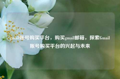gmail账号购买平台，购买gmail邮箱，探索Gmail账号购买平台的兴起与未来