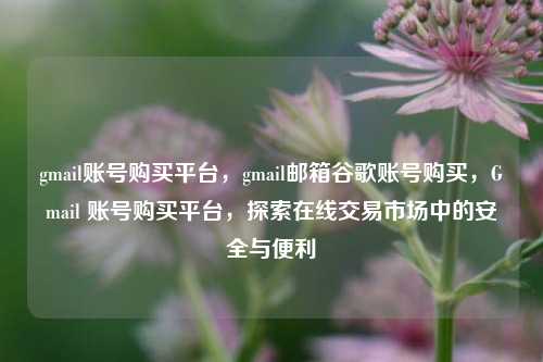 gmail账号购买平台，gmail邮箱谷歌账号购买，Gmail 账号购买平台，探索在线交易市场中的安全与便利