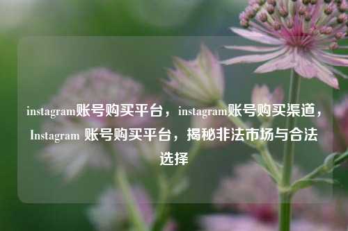 instagram账号购买平台，instagram账号购买渠道，Instagram 账号购买平台，揭秘非法市场与合法选择