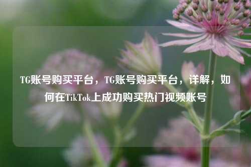 TG账号购买平台，TG账号购买平台，详解，如何在TikTok上成功购买热门视频账号