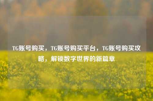 TG账号购买，TG账号购买平台，TG账号购买攻略，解锁数字世界的新篇章