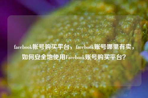 facebook帐号购买平台，facebook账号哪里有卖，如何安全地使用Facebook账号购买平台？