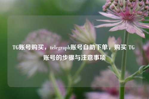 TG账号购买，telegraph账号自助下单，购买 TG 账号的步骤与注意事项