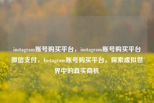 instagram账号购买平台，instagram账号购买平台微信支付，Instagram账号购买平台，探索虚拟世界中的真实商机