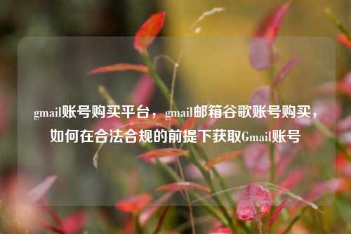 gmail账号购买平台，gmail邮箱谷歌账号购买，如何在合法合规的前提下获取Gmail账号