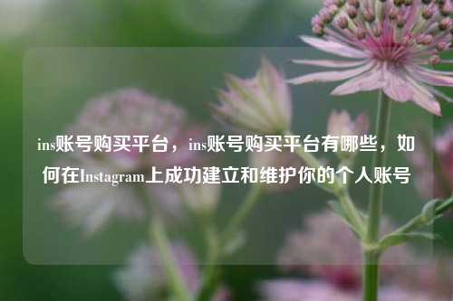 ins账号购买平台	，ins账号购买平台有哪些，如何在Instagram上成功建立和维护你的个人账号  第1张