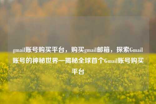 gmail账号购买平台，购买gmail邮箱，探索Gmail账号的神秘世界—揭秘全球首个Gmail账号购买平台