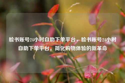 脸书账号24小时自助下单平台，脸书账号24小时自助下单平台，简化购物体验的新革命