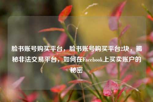 脸书账号购买平台，脸书账号购买平台2块，揭秘非法交易平台，如何在Facebook上买卖账户的秘密