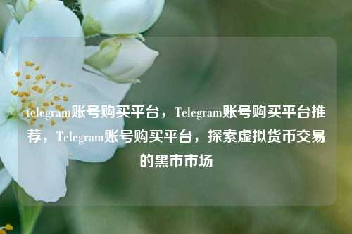 telegram账号购买平台，Telegram账号购买平台推荐，Telegram账号购买平台，探索虚拟货币交易的黑市市场