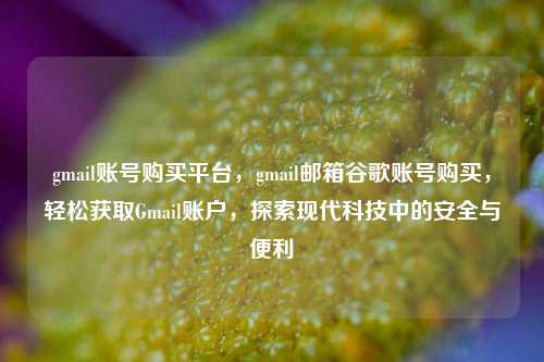 gmail账号购买平台，gmail邮箱谷歌账号购买，轻松获取Gmail账户，探索现代科技中的安全与便利