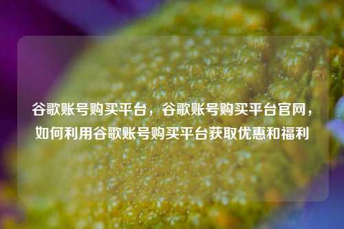谷歌账号购买平台，谷歌账号购买平台官网，如何利用谷歌账号购买平台获取优惠和福利