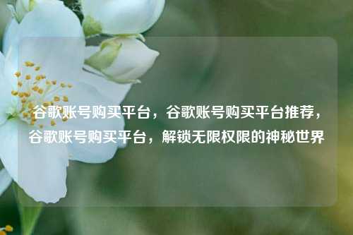谷歌账号购买平台，谷歌账号购买平台推荐，谷歌账号购买平台，解锁无限权限的神秘世界
