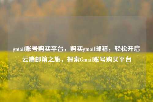 gmail账号购买平台，购买gmail邮箱，轻松开启云端邮箱之旅，探索Gmail账号购买平台