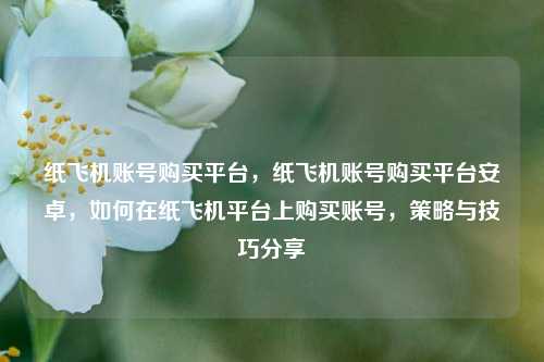 纸飞机账号购买平台，纸飞机账号购买平台安卓，如何在纸飞机平台上购买账号，策略与技巧分享