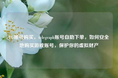 TG账号购买，telegraph账号自助下单，如何安全地购买游戏账号，保护你的虚拟财产